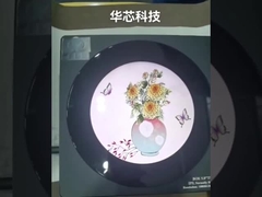 Punti rotondi a 2,1 pollici del modulo 480*480 del tft, 40 interfaccia dei PERNI 18bit RGB, 250cd/m2