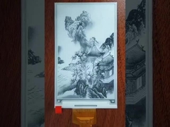 5 pollici E Display carta 552×960 risoluzione, 24 PINS SPI Interfaccia E-paper schermo