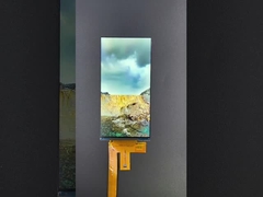 6 pollici 1080*2160 Risoluzione LCD TFT modulo MIPI Interfaccia di guida IC HX8399C