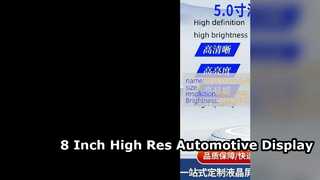 Display LCD TFT da 8 pollici per monitor automobilistici