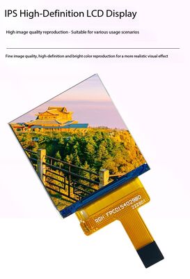 1Display IPS TFT da.54 pollici con interfaccia RGB a risoluzione 240x240 e luminosità 500nit